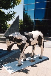 AAA010.JPG