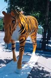 AAA013.JPG