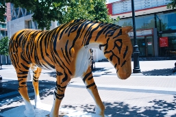 AAA014.JPG