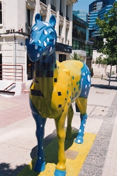 AAA027.JPG
