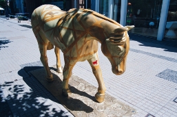 AAA032.JPG