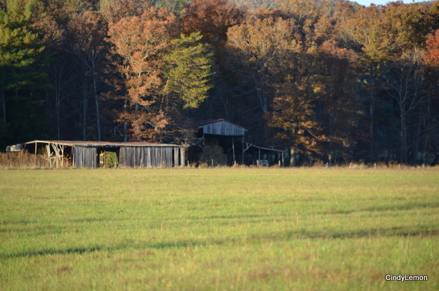 Barn across the Field