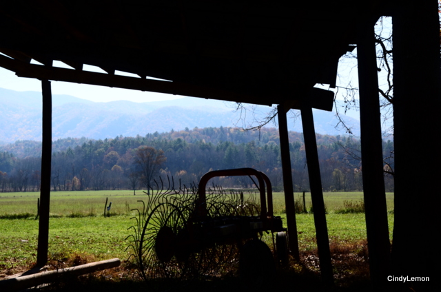 Farming on the Cove
