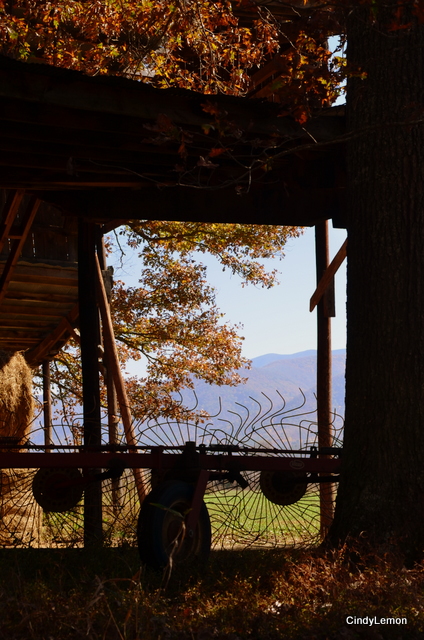 Barn in Fall Color