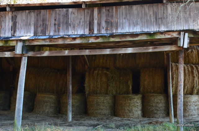 Barn with hay