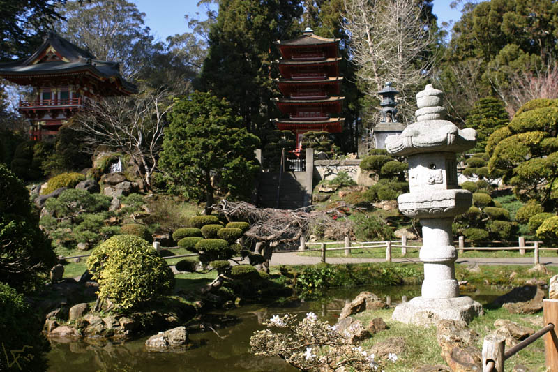 japanese tea garden