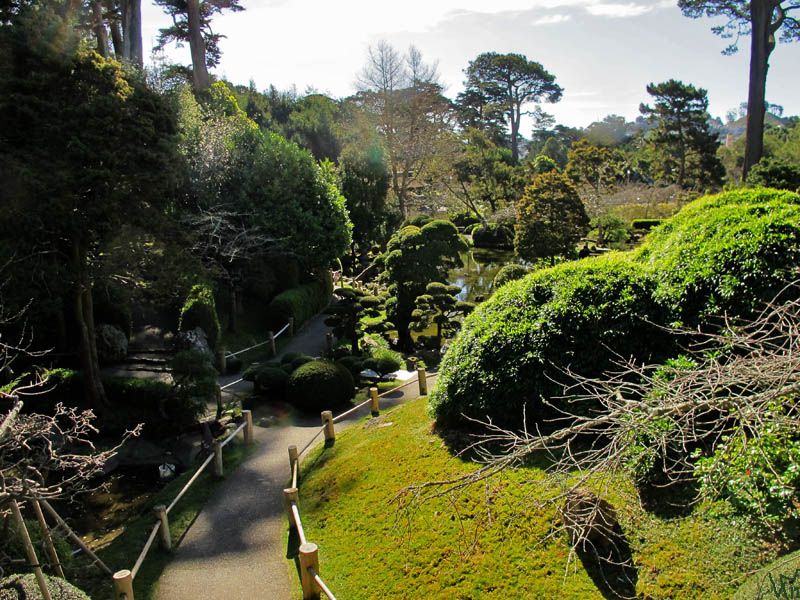 japanese tea garden