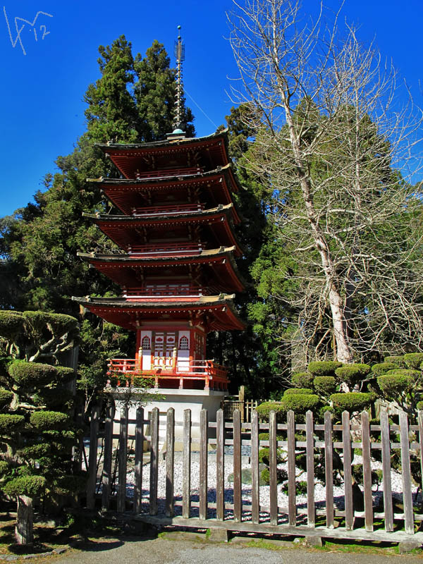 japanese tea garden