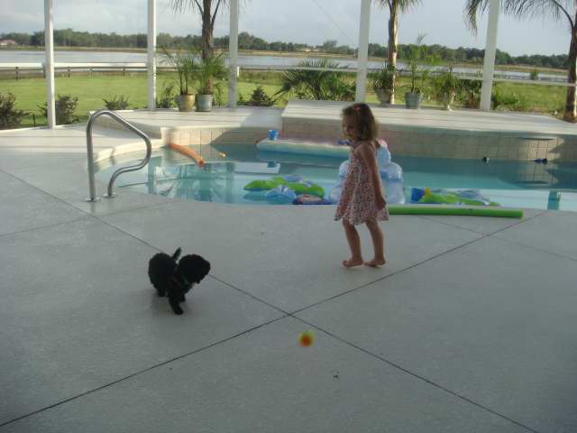 playing ball with pepper