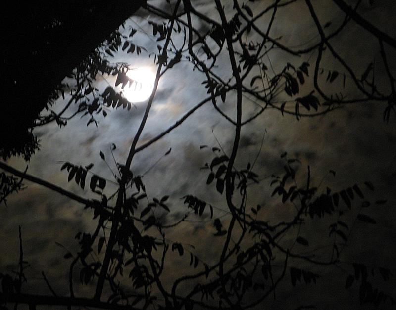full moon and clouds 1642