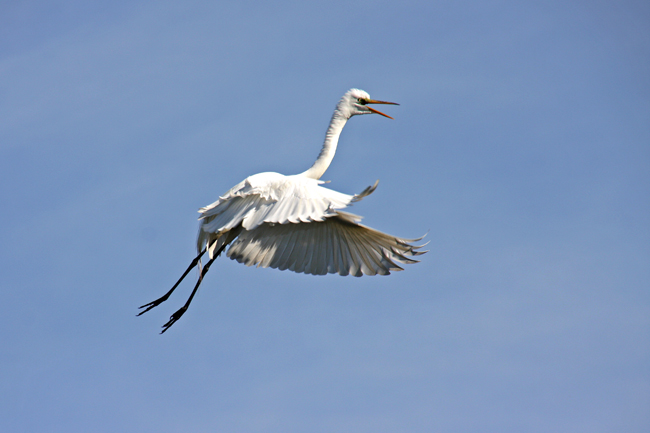IMG_0498 copy.jpg