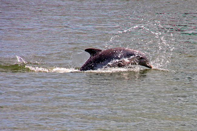 IMG_0726 copy.jpg