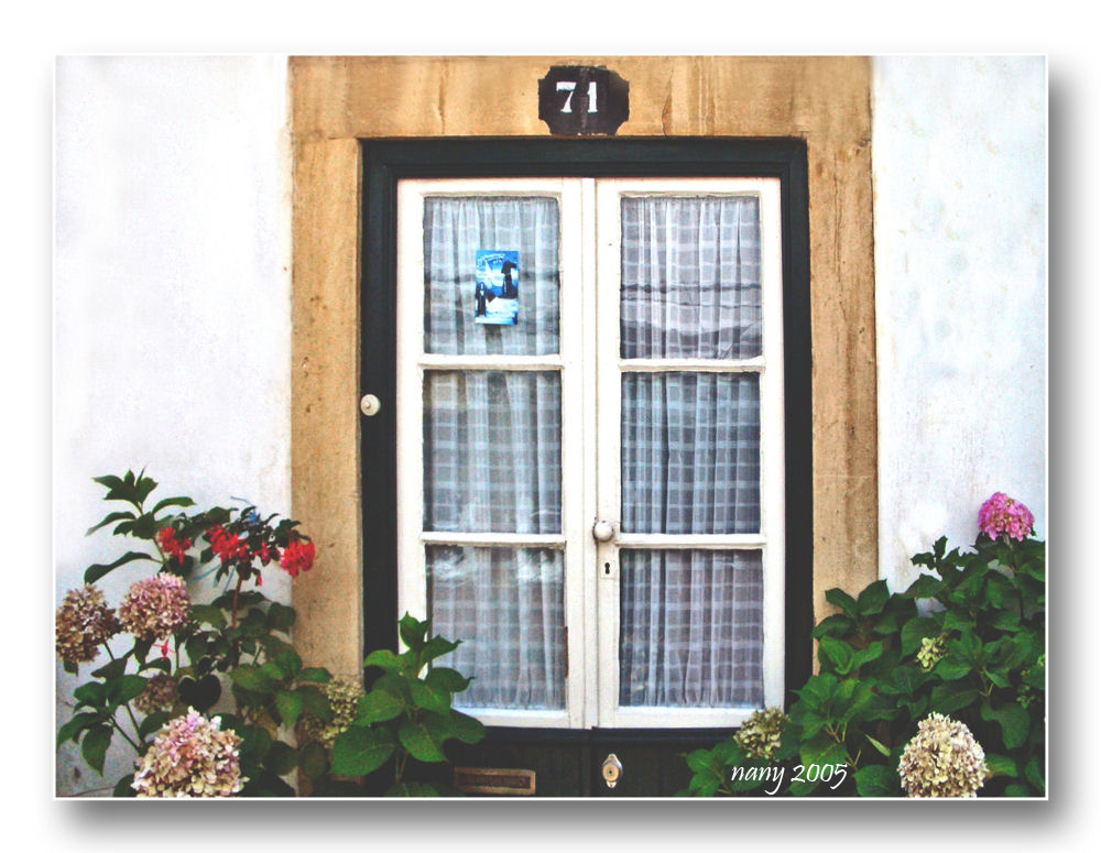 Window on door n� 71