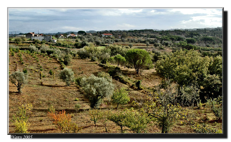 Fall in Portugal