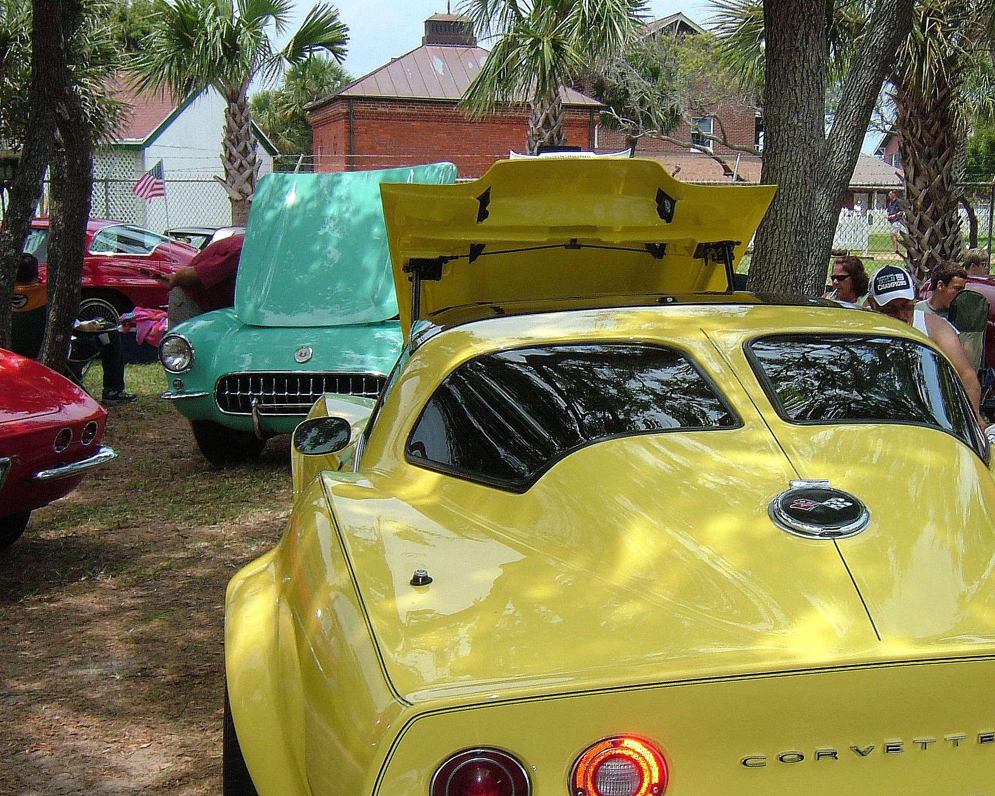 Great Setting For A Car Show