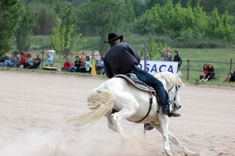 Equi_Western_0007.JPG