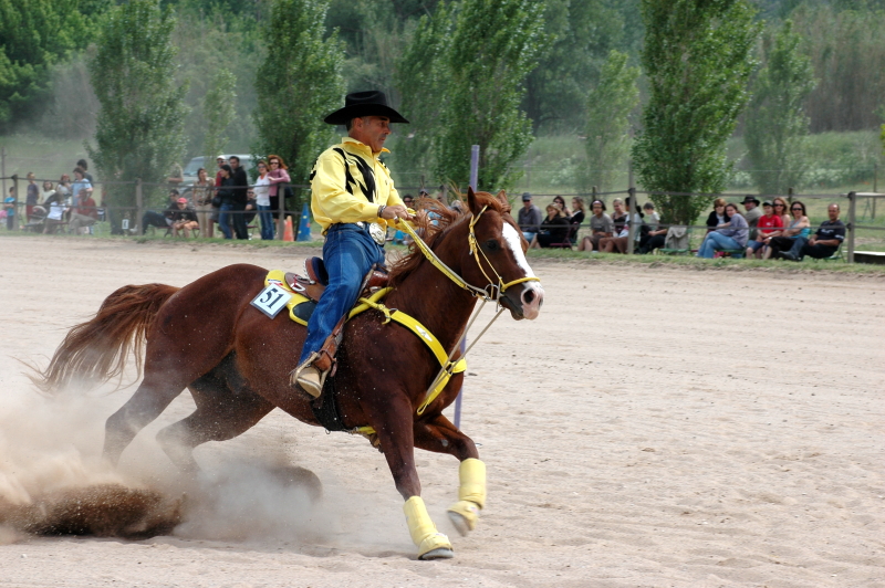 Equi_Western_0041.JPG