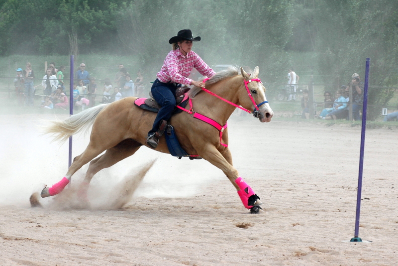 Equi_Western_0052b.JPG