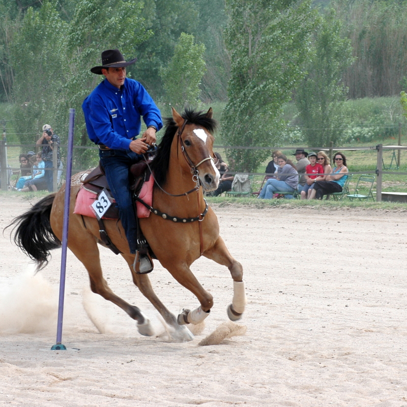 Equi_Western_0064b.JPG