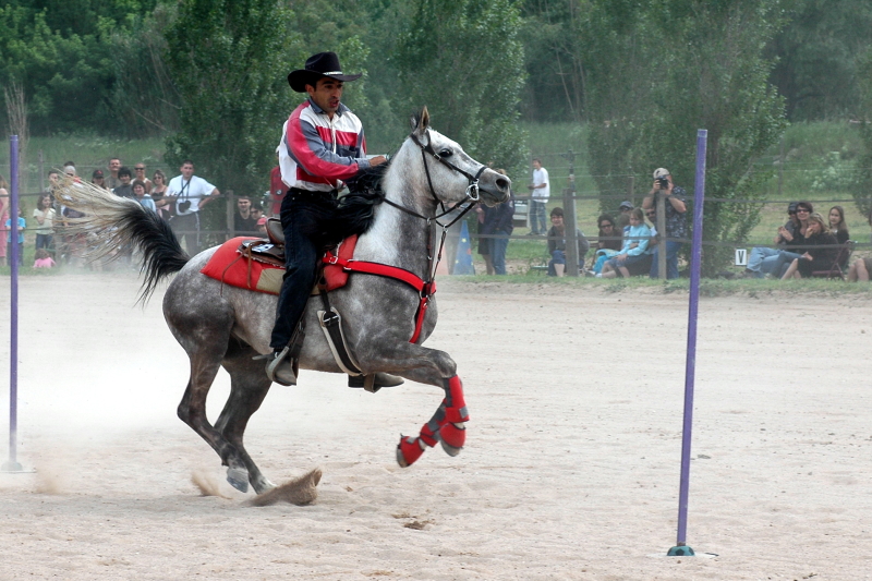 Equi_Western_0077b.JPG
