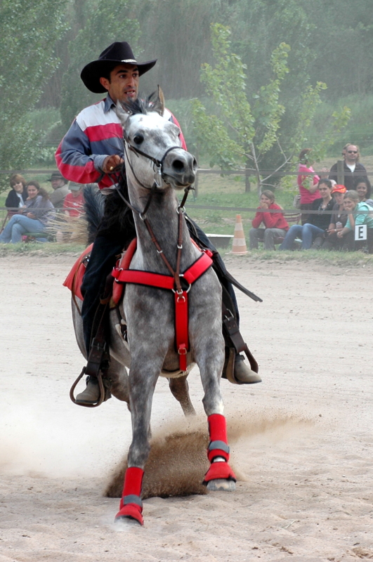 Equi_Western_0079b.JPG