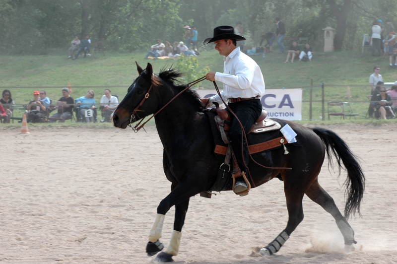 Equi_Western_0111.JPG