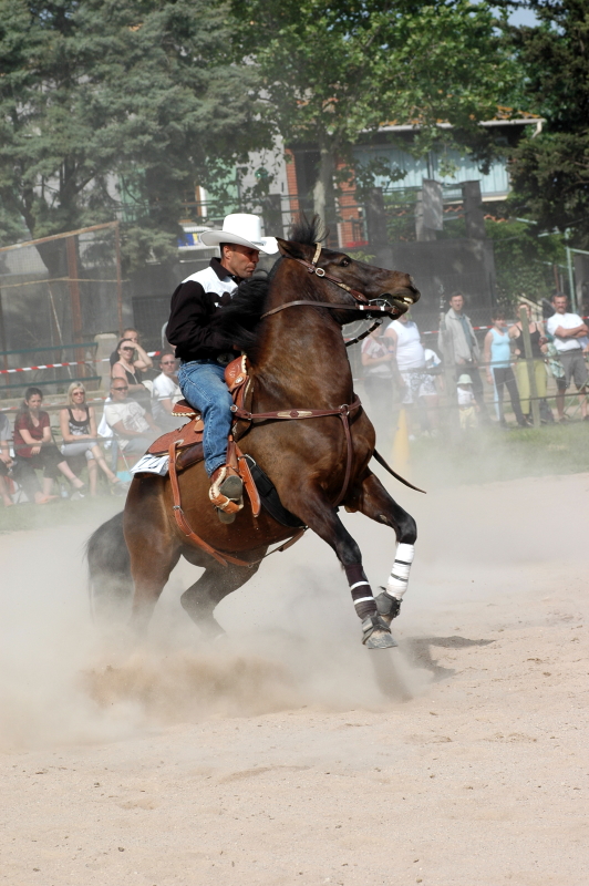 Equi_Western_0147.JPG