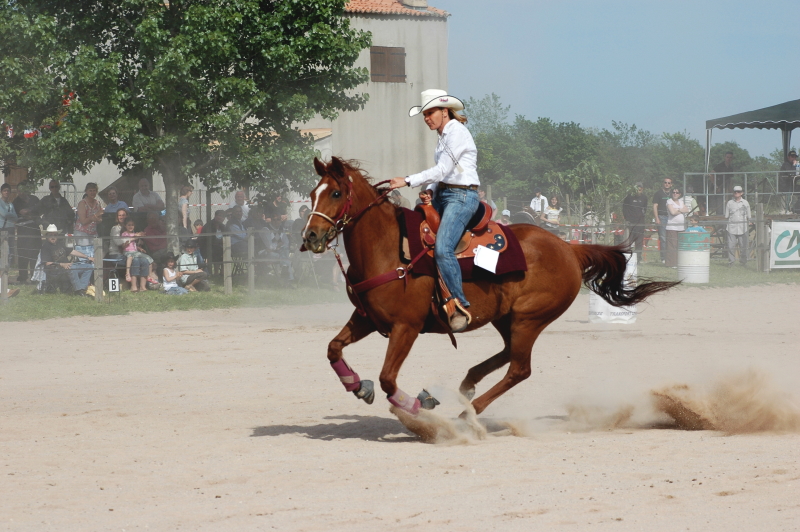 Equi_Western_0154.JPG