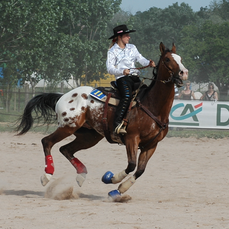 Equi_Western_0183b.JPG
