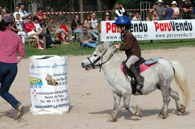Equi_Western_0190b.JPG