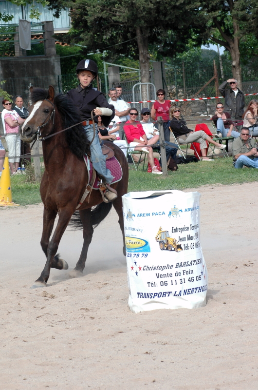 Equi_Western_0197b.JPG