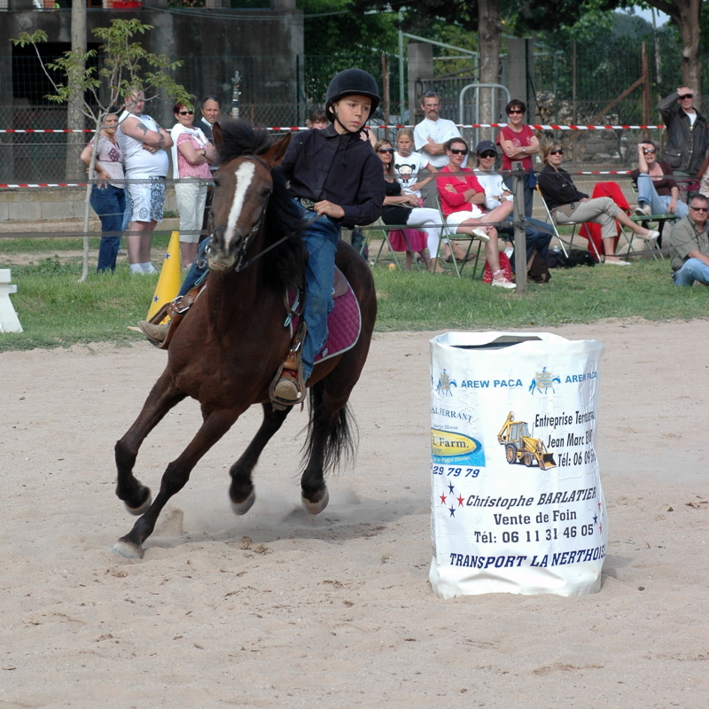 Equi_Western_0198b.JPG