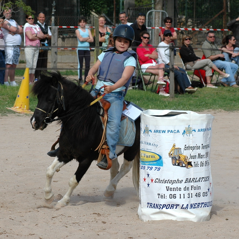 Equi_Western_0199b.JPG