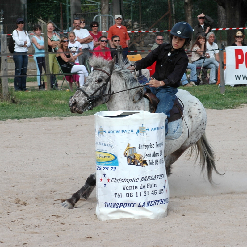 Equi_Western_0206b.JPG