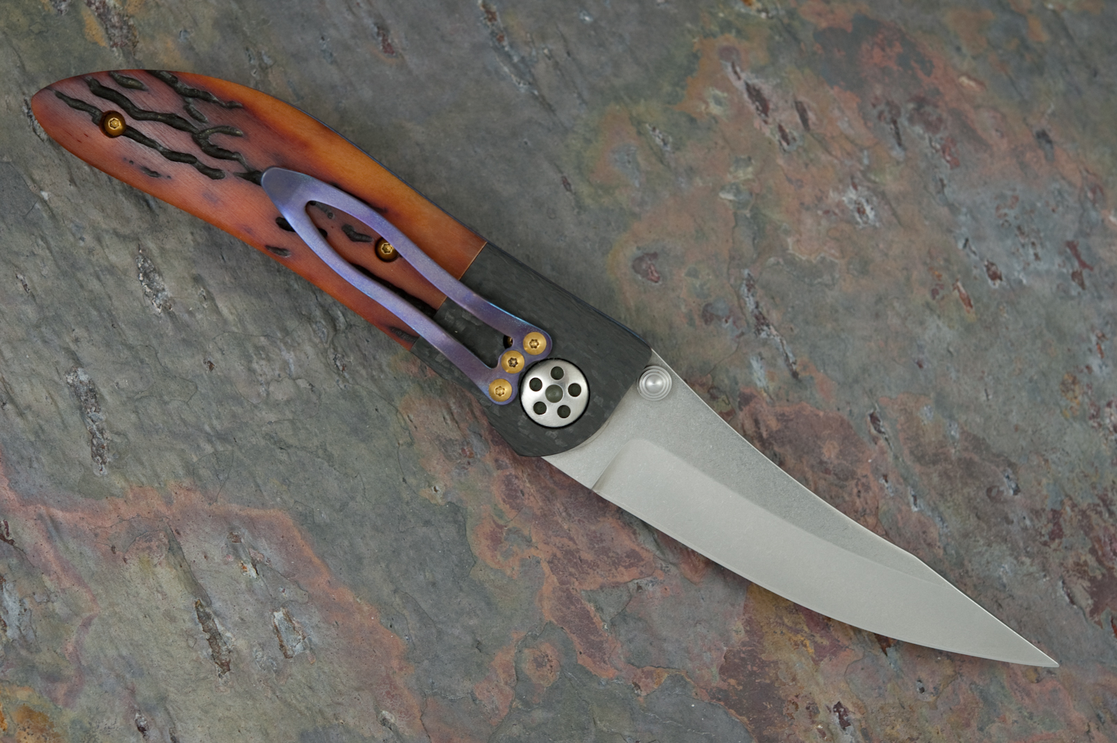 Allen Elishewitz Specter back