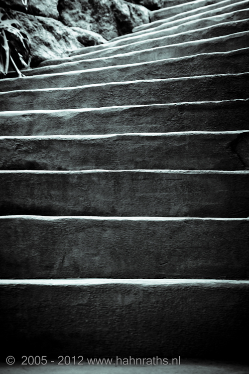 The only way is up