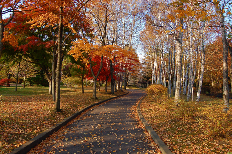 japan in fall