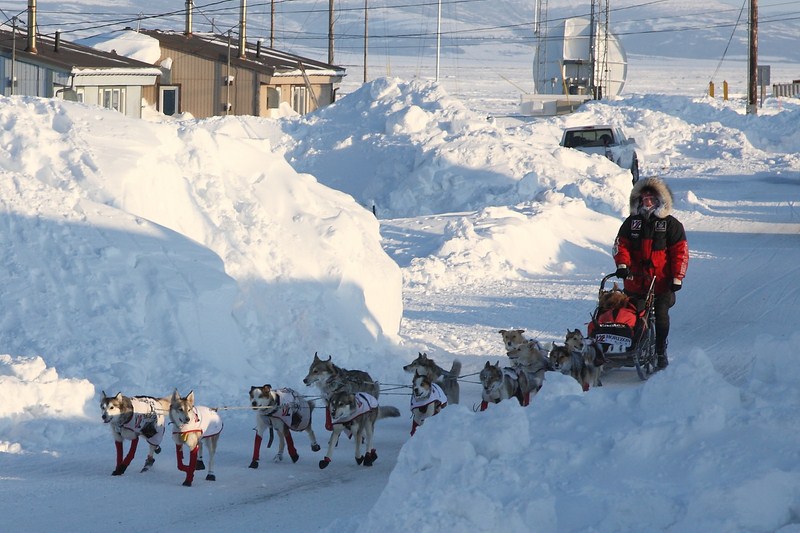 Iditarod_40_Shaktoolik_CheckPoint_11Mar2012_ 036_AliyZirkle [800x533].JPG