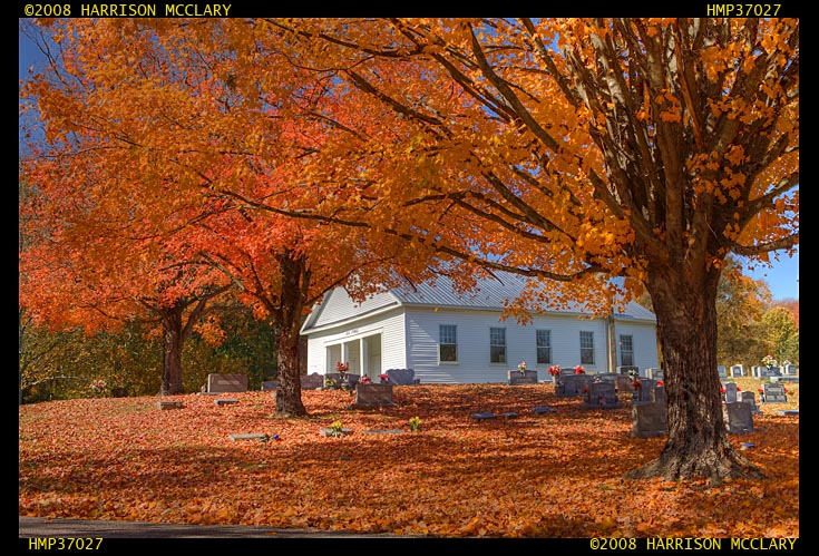 mcclary110608.jpg