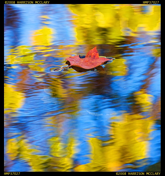 Reflections on a stream