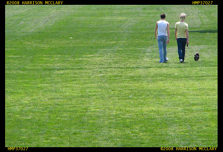 Spring in the park