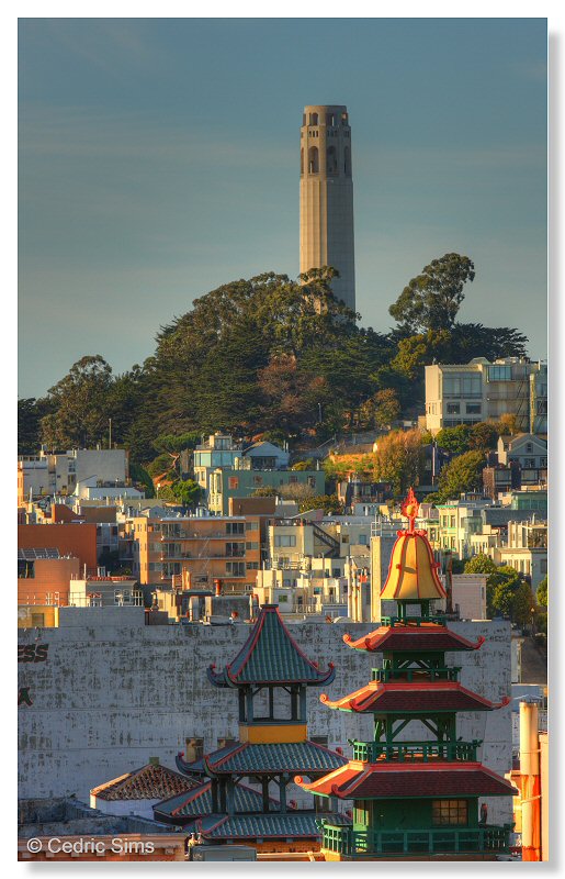 Coit Tower view from China Town