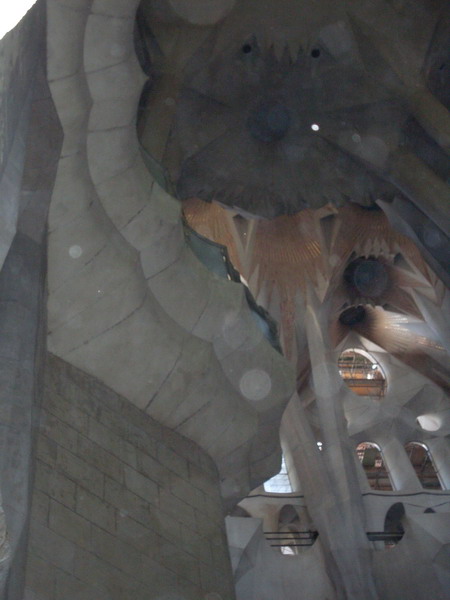 SDC11189_resize.JPG