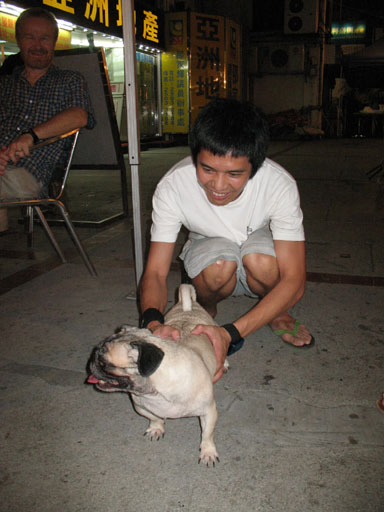 Chinese pug Hong Kong