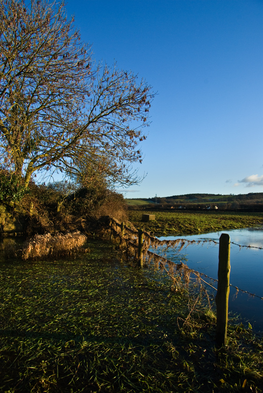 The River Exe near Brampford Speke
