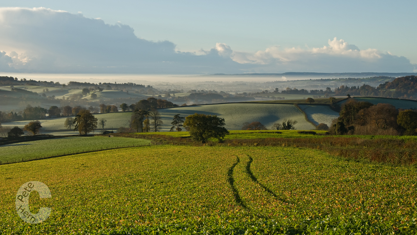 Bradninch Fields