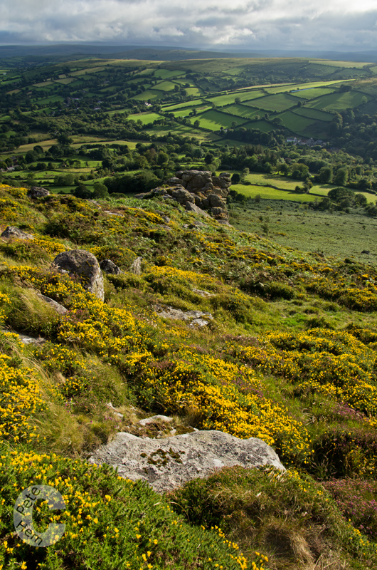 From Chinkwell Tor to Widecombe