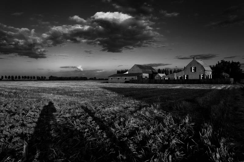 Photographer studies Farmer