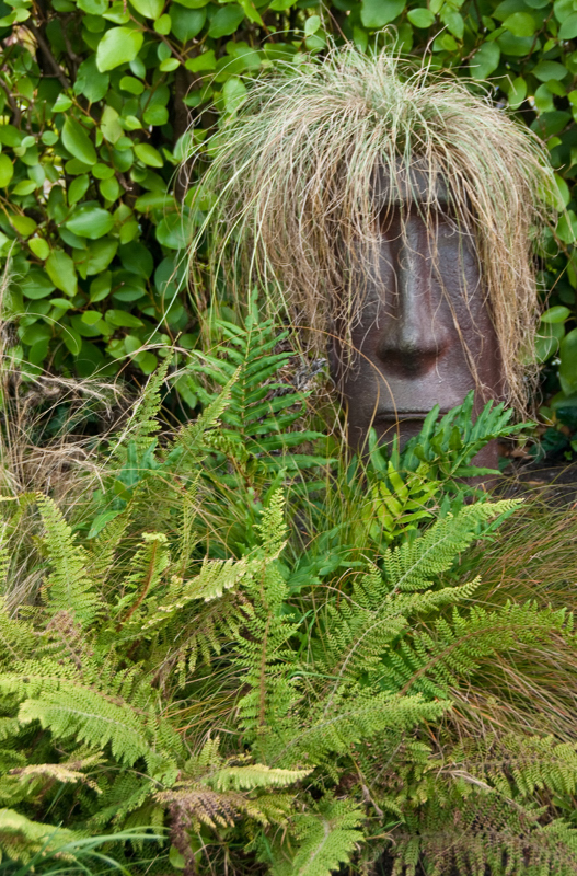 Scowling among the ferns
