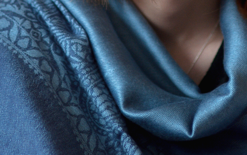 The elegant pashmina